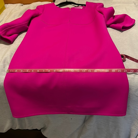 Hot Pink Structured Dress - Picture 7 of 9